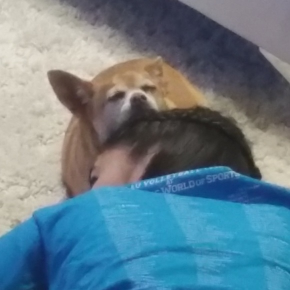 Meet your Posher, Josh (and Rico RIP 🥰) - Picture 3 of 5